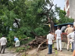 बलिया: 30.5 मिमी बारिश व तेज हवा से 115 बिजली खंभे उखड़े, 15 लाख का नुकसान