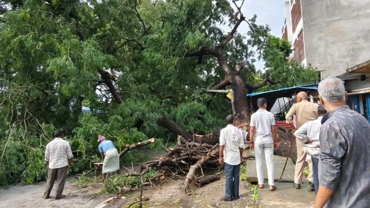 बलिया: 30.5 मिमी बारिश व तेज हवा से 115 बिजली खंभे उखड़े, 15 लाख का नुकसान