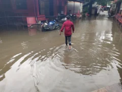 बस्ती: जिला व महिला अस्पताल में बारिश से छत टपकने व जलभराव, 232 पर्चे बने