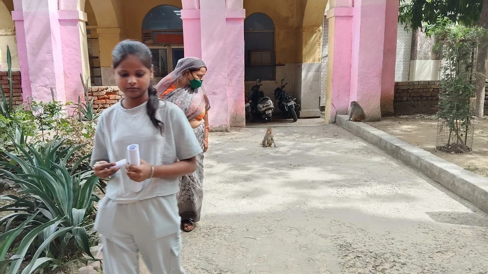 आगरा: जिला अस्पताल में बंदरों का आतंक, मरीज और तीमारदार छिपकर निकलते हैं