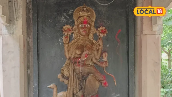 सुल्तानपुर: माता मंशा देवी मंदिर में दर्शन से सांप आने की समस्या से राहत