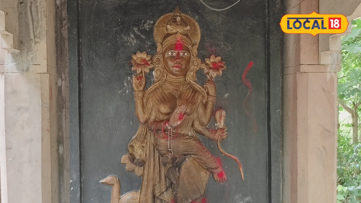 सुल्तानपुर: माता मंशा देवी मंदिर में दर्शन से सांप आने की समस्या से राहत