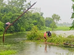 आज़मगढ़: तूफान अर्नब, 100 जगह पेड़ और 150 खंभे गिरे, नपा कार्यालय जलमग्न
