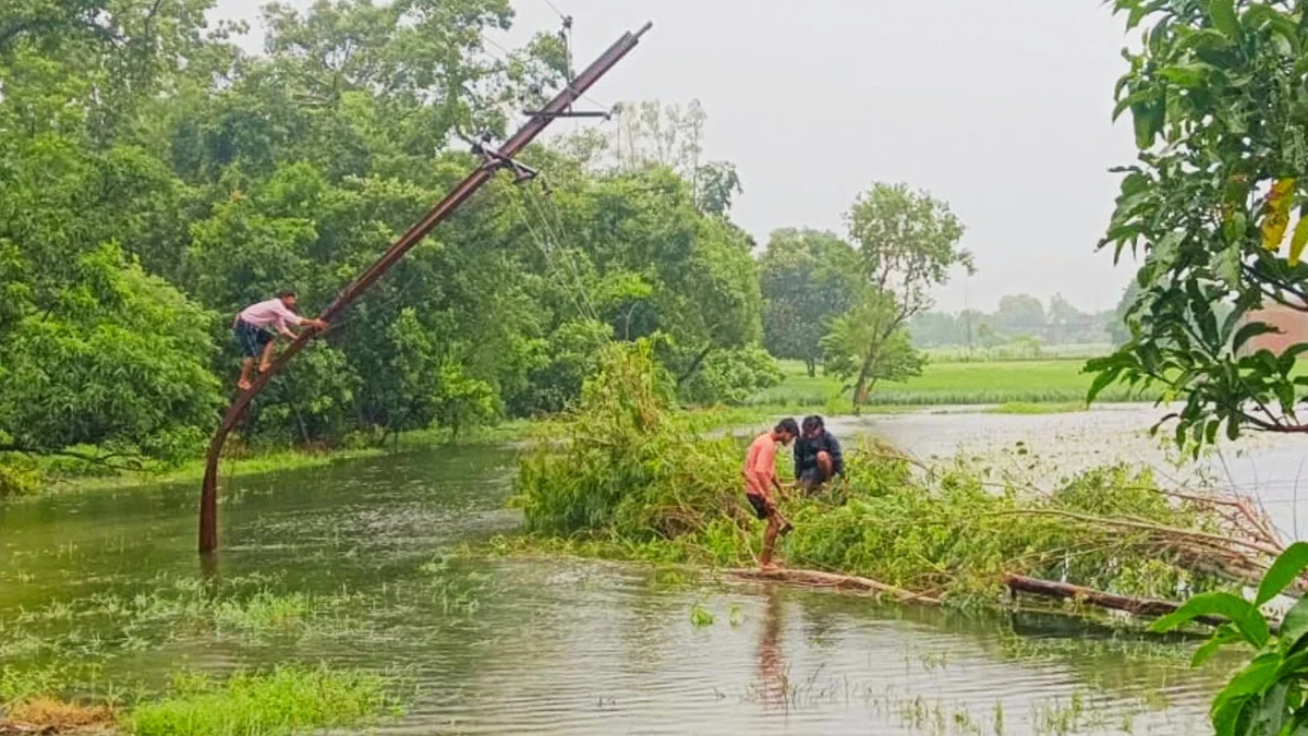 आज़मगढ़: तूफान अर्नब, 100 जगह पेड़ और 150 खंभे गिरे, नपा कार्यालय जलमग्न