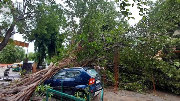 इटावा: पीपल का पेड़ गिरा, 3 एम्बुलेंस अधिकारी बाल-बाल बचे; 3 कारें क्षतिग्रस्त