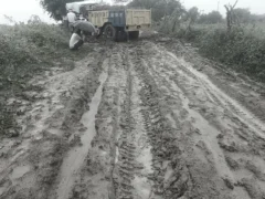 जालौन: कीचड़ में फंसा ईंट लदा ट्रैक्टर, तीन घंटे तक मार्ग बंद