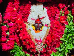 जौनपुर: शीतला चौकियां धाम में पीली साड़ी व लाल गुलाब से भव्य पूर्णिमा शृंगार, करीब 8 हजार श्रद्धालु