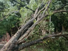 अम्बेडकर नगर: तेज बारिश-हवा से 100 से अधिक गांवों में बिजली गुल, कई खंभे टूटे