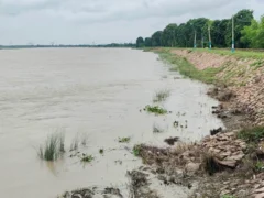 बस्ती: 24 घंटे में सरयू का जलस्तर 17 सेंटीमीटर बढ़ा, तटबंध चौकस