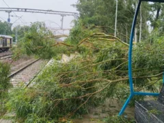 बहराइच: गोंडा-नेपालगंज रेलखंड पर भारी बारिश में सभी ट्रेन रद्द, ट्रैक पर पेड़ गिरे