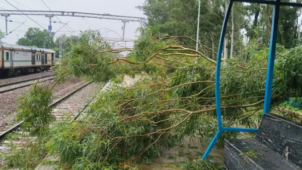बहराइच: गोंडा-नेपालगंज रेलखंड पर भारी बारिश में सभी ट्रेन रद्द, ट्रैक पर पेड़ गिरे