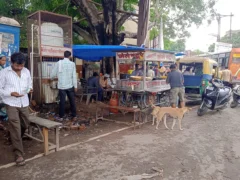 इटावा:बारिश में बच्चों के पेट संक्रमण बढ़े, मरीज 60-70 पहुंचे