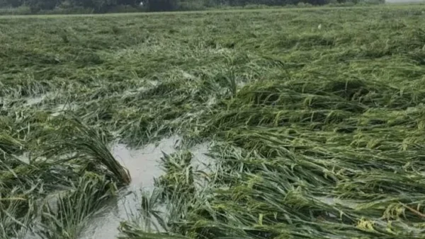 उन्नाव: तेज बारिश से बाढ़, कई गाँव जलमग्न, 35% नुकसान पर मुआवजा