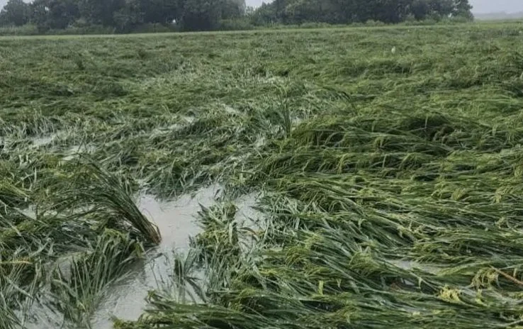 उन्नाव: तेज बारिश से बाढ़, कई गाँव जलमग्न, 35% नुकसान पर मुआवजा