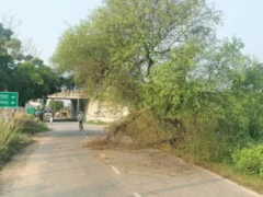 गाज़ियपुर: चक्रवात से 450 खंभों में से सिर्फ 92 ही दुरुस्त, 50 गांव अंधेरे में
