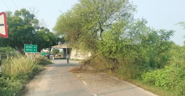 गाज़ियपुर: चक्रवात से 450 खंभों में से सिर्फ 92 ही दुरुस्त, 50 गांव अंधेरे में