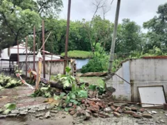 बहराइच: बारिश‑हवा से 13 मकान ढहे, छप्पर पर पेड़ गिरने से बुजुर्ग की मौत