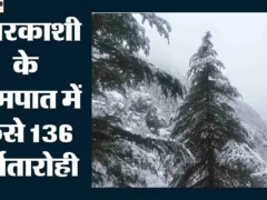 उत्तर प्रदेश: बारिश-तूफान से हालात खराब, दिल्ली की 18 साल की सबसे सर्द रात दर्ज