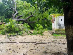 गोंडा: तेज बारिश और हवा से 5 लाख उपभोक्ताओं की बिजली प्रभावित, 42 उपकेंद्र प्रभावित