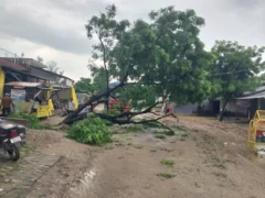 बस्ती: आंधी-बारिश से हाईवे एक लेन आधी रात बंद, आवागमन थमा रहा