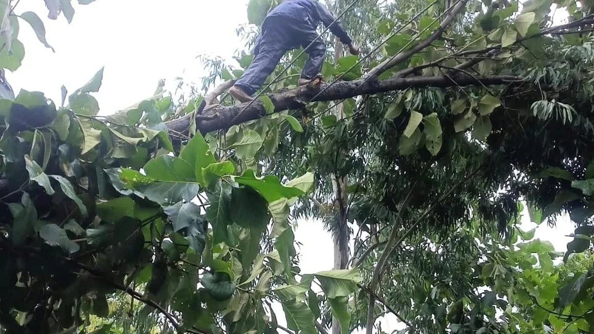 बहराइच: तेज बारिश‑हवा से 610 खंभे गिरे, नौ लाख लोग बिजली संकट में