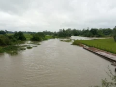 बाराबंकी: कल्याणी नदी उफनी, 150 बीघा धान जलमग्न