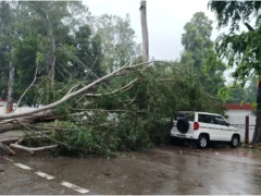 बदायूं: 24 घंटे में 56 मिमी बारिश, डीएम रोड पर पेड़ गिरने से आवागमन बंद
