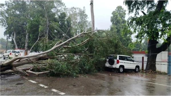 बदायूं: 24 घंटे में 56 मिमी बारिश, डीएम रोड पर पेड़ गिरने से आवागमन बंद