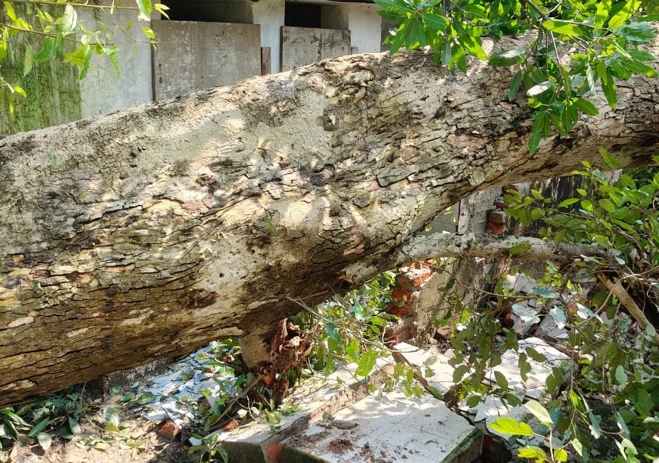 गोंडा: कई प्राथमिक विद्यालयों में घुटनों तक पानी, बच्चों को पास के स्कूलों में पढ़ाया जाएगा