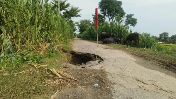 बहराइच: सरयू का जलस्तर बढ़ा, तटबंध में दरारें, 18 गांव जलमग्न