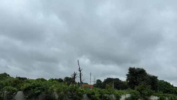 भदोही: मौसम साफ, दो दिन में अधिकतम तापमान 5 डिग्री बढ़ा, 32°C पहुंचा