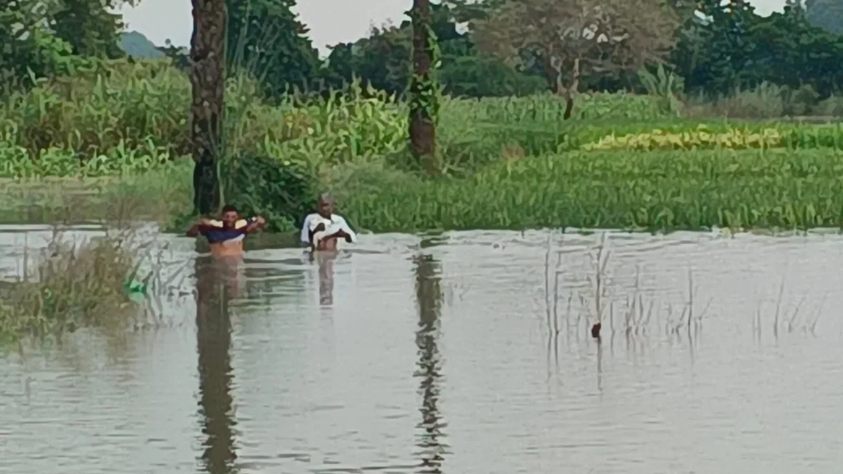मैनपुरी: ईशन नदी उफान पर, भवानीगढ़ के खेतों में पानी भरने से धान डूबी