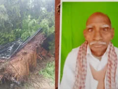 बाराबंकी: बारिश में पेड़-दीवार गिरने से तीन की मौत, 700 से अधिक गांव बिजली गुल