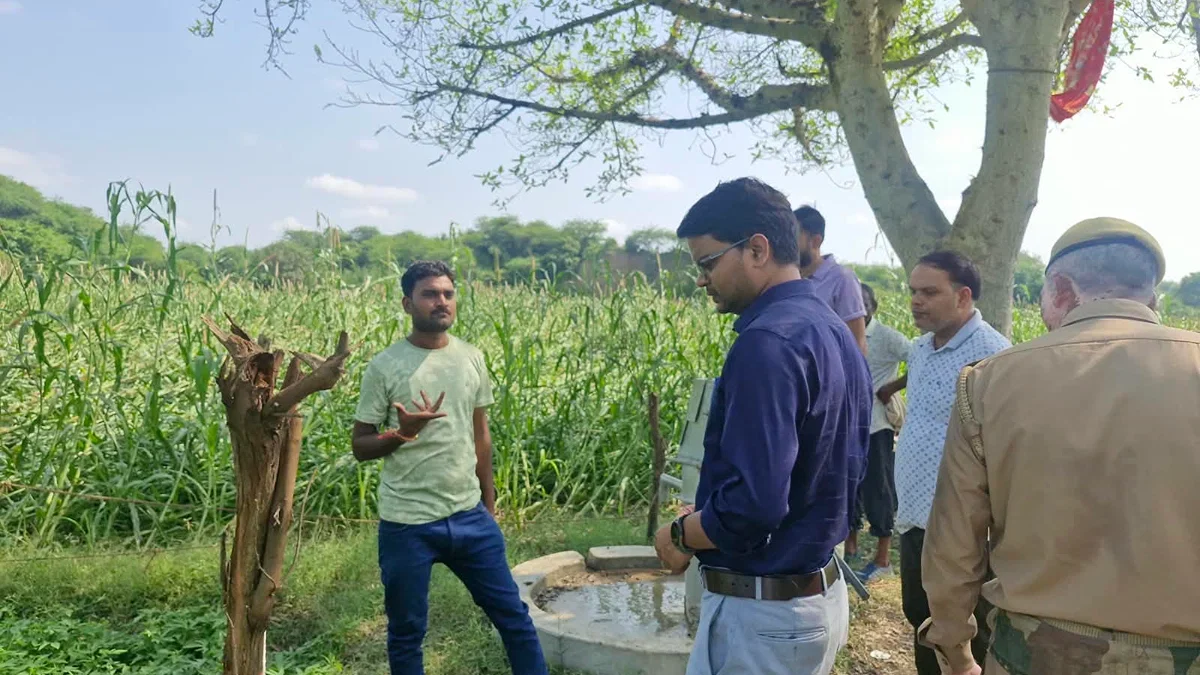 इटावा: बारिश से खरीफ फसलों को नुकसान, 35% से ऊपर पर सहायता मिलेगी
