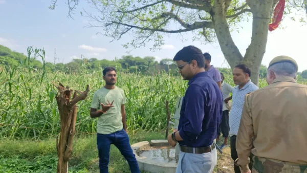 इटावा: बारिश से खरीफ फसलों को नुकसान, 35% से ऊपर पर सहायता मिलेगी