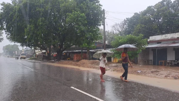 श्रावस्ती: दूसरी बार बरसात से खेत-नगर में जलभराव, धान फसल गिरने लगी