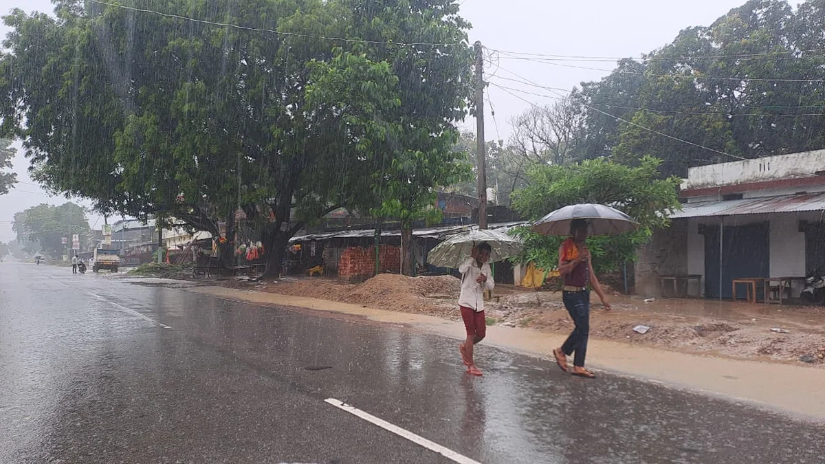श्रावस्ती: दूसरी बार बरसात से खेत-नगर में जलभराव, धान फसल गिरने लगी