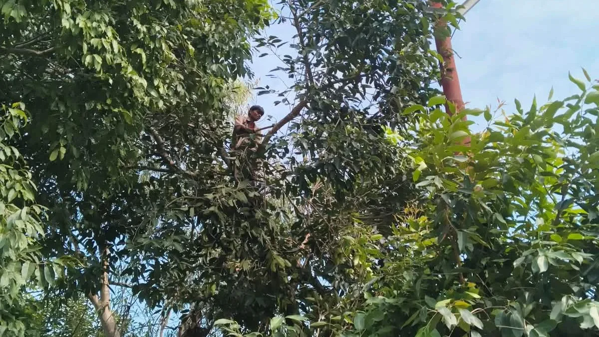 श्रावस्ती: बारिश में बिजली आपूर्ति ठप, 300 गांव अंधेरे में