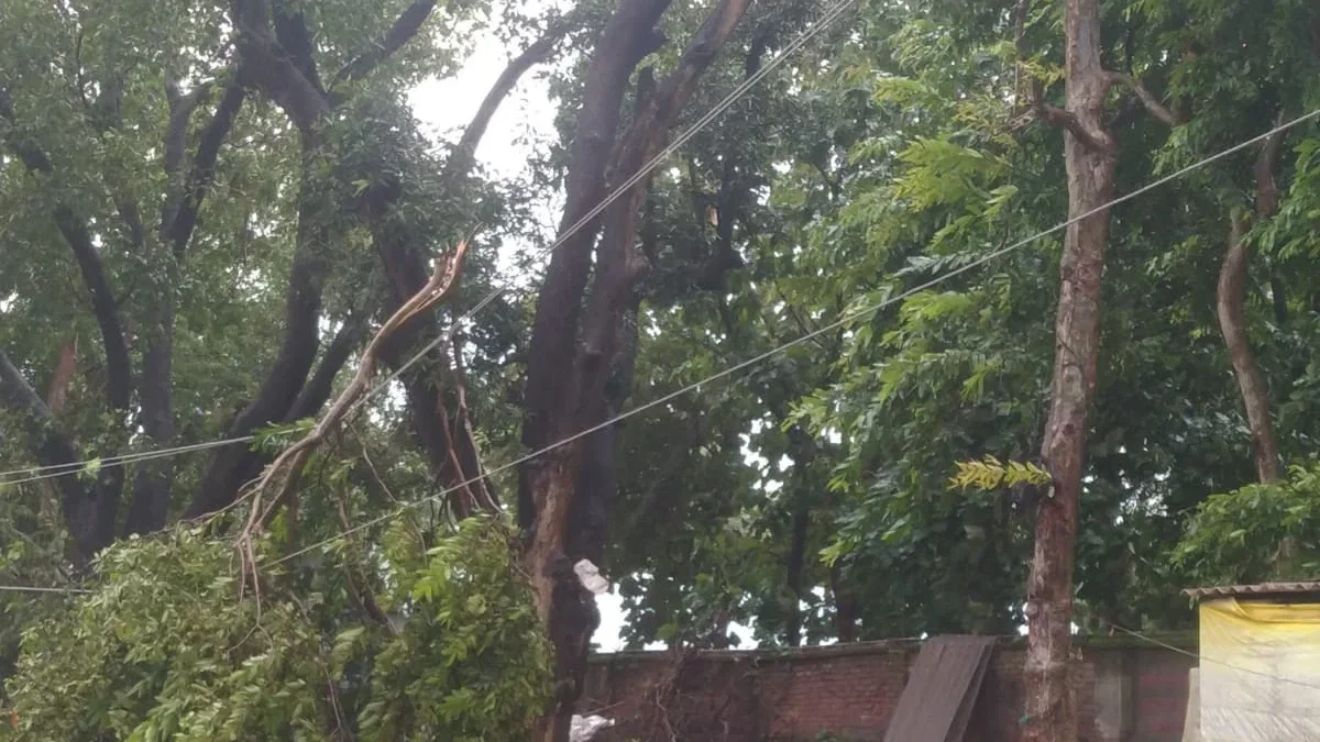 अम्बेडकर नगर: आंधी-बारिश में 80 खंभे व 12 ट्रांसफार्मर क्षतिग्रस्त; 600 गांवों की बिजली कट