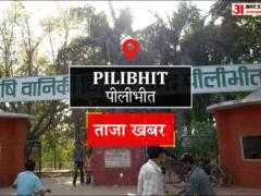 पीलीभीत: सुहास रोड पर दो महिलाओं ने करीब 50 हजार के जेवर चोरी किए