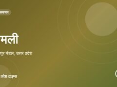 शामली