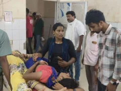 बलिया: जिउतिया की तैयारी में मडुआ की लिट्टी-रोटी खाने से 10 से अधिक बीमार