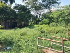 हाथरस: चंदपा का राजकीय पशु अस्पताल 30 साल से जर्जर, आधा हिस्सा ढह चुका