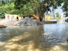 देवरिया: देवरहा बाबा आश्रम में करीब 2 फुट पानी, सैकड़ों एकड़ फसल डूबी