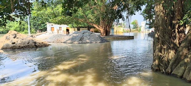 देवरिया: देवरहा बाबा आश्रम में करीब 2 फुट पानी, सैकड़ों एकड़ फसल डूबी