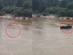 शाहजहांपुर: आधार में नाम न सुधरा तो गर्रा नदी में कूदा युवक, नाविक ने बचाई जान