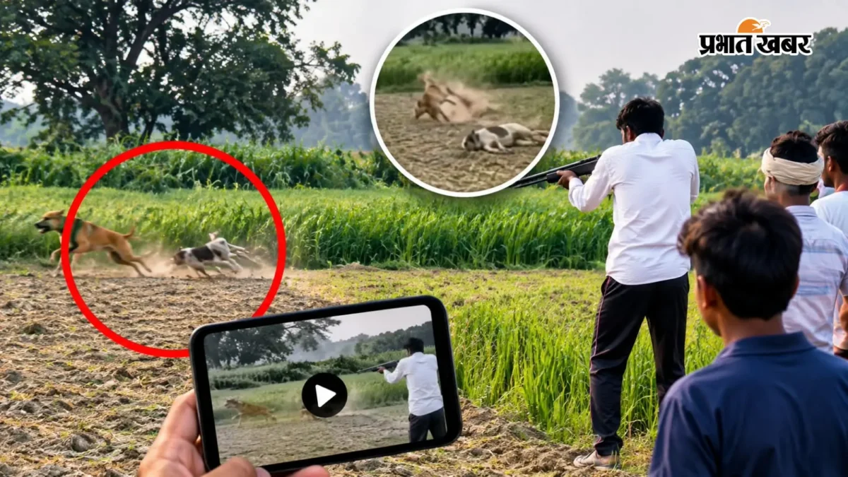 मैनपुरी: भोगांव के कलेयानपुर में दो कुत्तों पर गोलीबारी का वायरल वीडियो