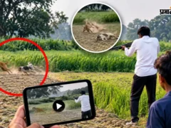 मैनपुरी: भोगांव के कलेयानपुर में दो कुत्तों पर गोलीबारी का वायरल वीडियो