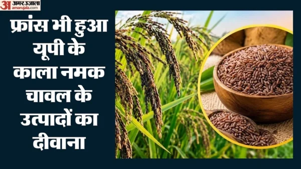गौतमबुद्ध नगर: सिद्धार्थनगर के काला नमक कुकीज पर फ्रांस ने जताई दिलचस्पी, 50 हजार कुकीज का ऑर्डर