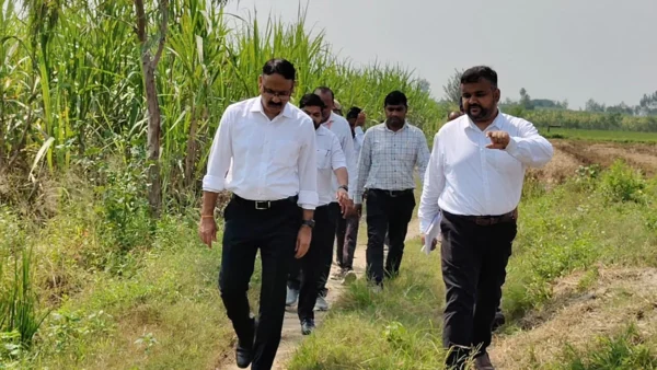 पीलीभीत: मूसलाधार बारिश से 281 हेक्टेयर से अधिक फसल प्रभावित, डीएम ने लिया जायजा